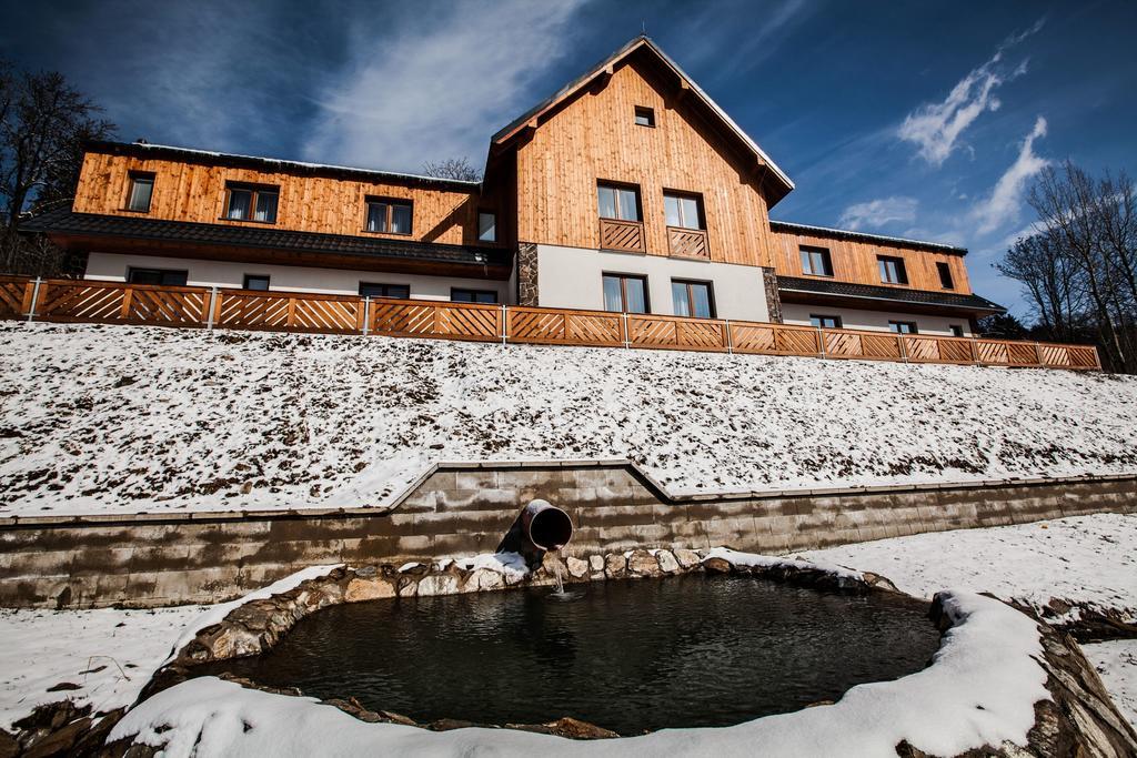 Penzion Kozel - Herlikovice Krkonose Vrchlabí エクステリア 写真